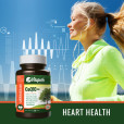 CoQ10 Heart Health