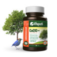 CoQ10_Single Bottle