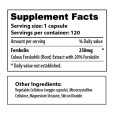 Forskolin with 120 - sup facts-02