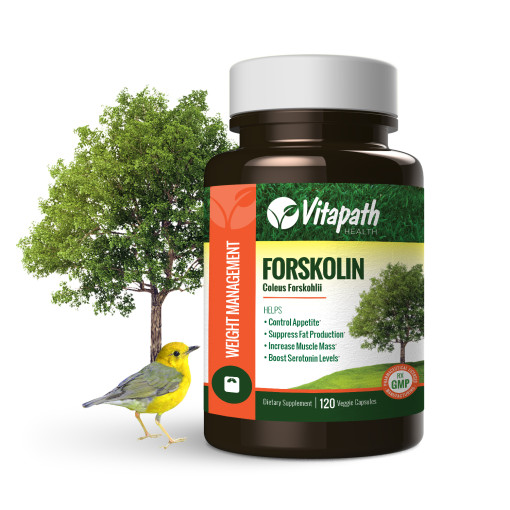 forskolin_120_single_bottle