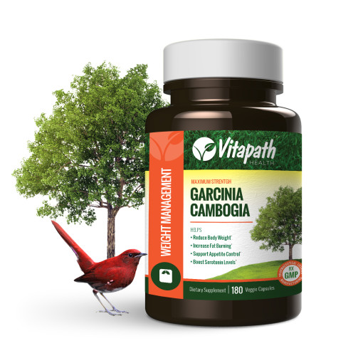 garcinia_cambogia_180_single_bottle